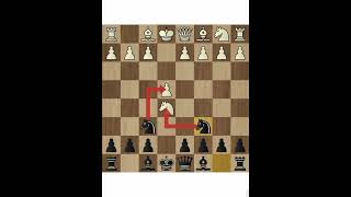 Stafford Gambit music chess chessgame rap [upl. by Ahsii552]