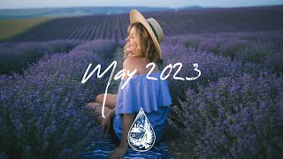 IndiePopFolk Compilation  May 2023 2½Hour Playlist [upl. by Liddie]