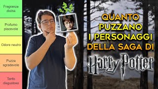 Quanto PUZZANO i personaggi di HARRY POTTER  TIER LIST [upl. by Hashum]