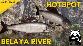 Grayling Hotspot Belaya River Russian Fishing 4 [upl. by Mikes729]