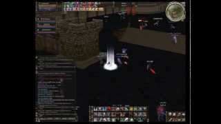 Lineage II FastAssassin HD 720 [upl. by Mckay59]