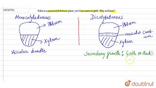 Palm is a monocotyledonous plant yet it increases in girth Why and how [upl. by Ardin527]