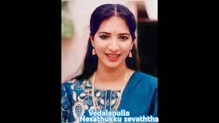 Vedalapulla nesathukku tamil song by swarnalatha [upl. by Goldsworthy955]