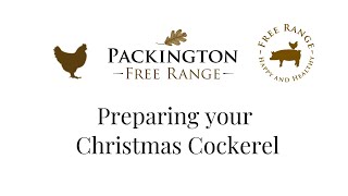 How to cook your Packington Cockerel [upl. by Nosreffej798]