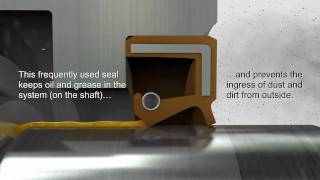 Shaft Seals amp Rotary Seals — Trelleborg Sealing Solutions [upl. by Annas787]