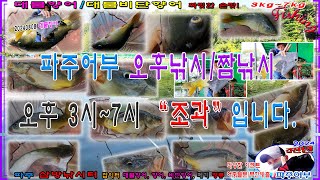 20240808 파주 삼방낚시터 대물향어 향어 메기 입질챔질랜딩 인증샷 올립니다 다양한 이벤트 항시 진행합니다 [upl. by Vinna170]