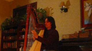 Harpist Nicolas Carter plays Moliendo Cafe [upl. by Annert519]