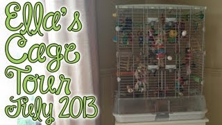 Parrotlet Cage Tour  July 2013 [upl. by Airednaxela146]