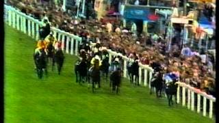 1984 Ever Ready Derby Stakes [upl. by Annodam]