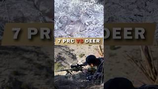 7 PRC VS DEER [upl. by Kehsihba129]