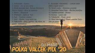 Dj Mare  Polka Valček Mix 2020 [upl. by Azerila162]