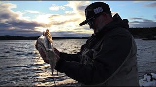 STRIPED BASS FISHING on the LOWER KENNEBEC RIVER [upl. by Luing]