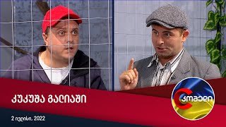 კომედი  კუკუშა გალიაში [upl. by Pentheam564]