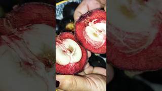 How to Open Mangosteen  trending mangosteen fruit tropicalfruit satisfying shorts [upl. by Danette]