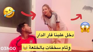 دخل علينا فار الدار 😱وئام سخفات بالخلعة😂 [upl. by Eelimaj]