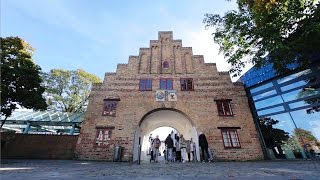 Flensburg  Zwischen Himmel und Förde  Tourismus [upl. by Neisa]