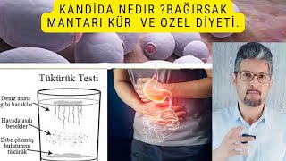 kandida Candidanedir  Bağırsak Mantarına Karşı Kür Bağırsak mantarı nedir nasıl tedavi edilir [upl. by Elaval619]