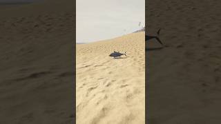 😦 LE POISSON NAGE SUR LE SABLE  gta5 [upl. by Wahkuna]