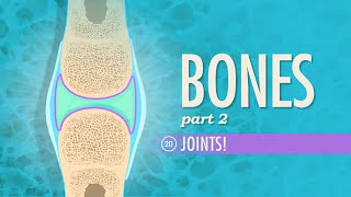 Joints Crash Course Anatomy amp Physiology 20 [upl. by Nirek27]