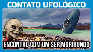 Lenhadores presenciam a queda de um UFO e acabam conversando com seu tripulante [upl. by Yruoc]