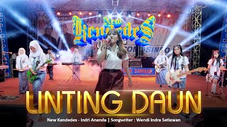 Indri Ananda  Linting Daun NEW KENDEDES Live AN Promosindo Nganjuk 2022 [upl. by Parsaye]