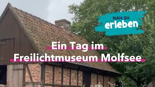 Ein Tag im Freilichtmuseum Molfsee [upl. by Elyrpa]