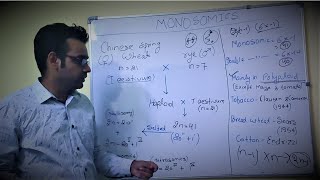 Monosomics Part 1 Methods of production of monosomics [upl. by Eicrad]