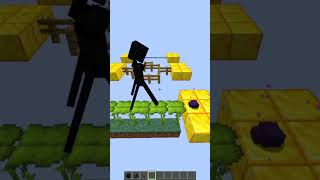 MInecrat Enderman VS Endermite minecraft [upl. by Alecia527]