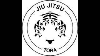 Tora jiu jitsu Glabbeek [upl. by Tifanie194]