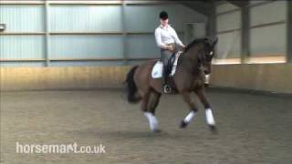 How to ride simple changes in dressage with Daniel Timson and AnneMarie Rawlins [upl. by Jobyna807]