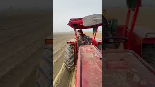 mf240 potatocultivation travelvideo mf260 potatofarming [upl. by Nakashima]