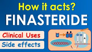 Finasteride  How it acts  Mechanism side effects amp uses [upl. by Nuy]