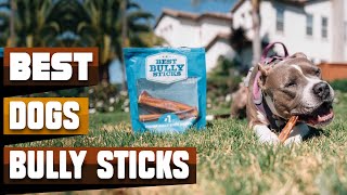 Best Bully Sticks For Dog In 2024  Top 10 Bully Sticks For Dogs Review [upl. by Sarena]