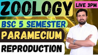 BSC 5 SEMESTER  ZOOLOGY CLASS 2 PARAMECIUM  REPRODUCTION  BY AMIT MAVI SIR [upl. by Jelene]