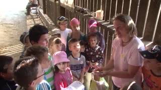 Visite de la ferme pédagogique  Lycée agricole [upl. by Kroo30]