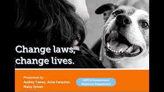 Become an ASPCA Advocacy Volunteer [upl. by Diandre]