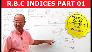 RBC Indices  Erythrocyte Indices  Hemoglobin Hematocrit MCV MCH amp MCHC  Part 1 [upl. by Eltsryk385]