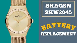 Battery Replacement For Skagen SKW2045 Watch [upl. by Urial556]