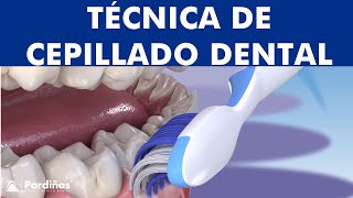 La mejor técnica para CEPILLARSE los dientes  Bass Modificada © [upl. by Bedwell]