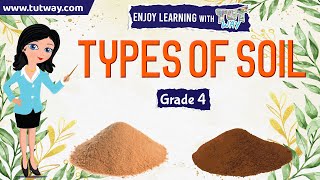 Soil  Types of Soil  Soil Components  Properties of Soil  Science [upl. by Marwin]