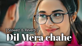 Dil Mera Chahe Slowed Reverb  Arijit Singh Lofi Vibes  MKLOFI [upl. by Suzie]