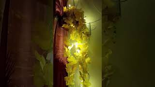 Last minute Diwali Decor idea Part 1 diwalidecoration ideas meesho meeshohomedecoritemshaul [upl. by Adnarrim]