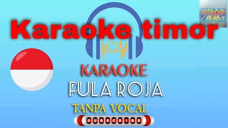 KARAOKE FULA ROJA MUSIK TANPA VOCAL2020 [upl. by Primrose]