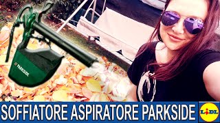 Soffiatore aspiratore Parkside LIDL  RECENSIONE [upl. by Samantha]