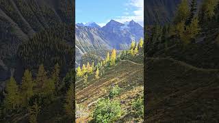 This is a view of the trail to Mt St Piran near Lake Louise Alberta mountains canadianmountains [upl. by Enelram]