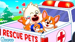 Bearee Tales 🐾 Good Kid Bearee Takes Puppy Family to Pets Rescue Center  Puppy Cartoon for Kids [upl. by Elyag]