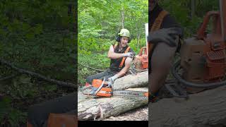 NeoTec 872 Chainsaw vs Oak Trees Budget Beast Cutting Power 💪🌳 shortsvideo shorts shortsfeed [upl. by Edgell]