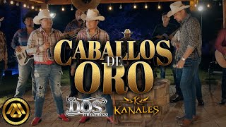 Kanales Los Dos de Tamaulipas  Caballos de Oro Video Musical [upl. by Hickey489]