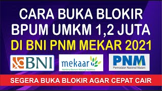 CARA BUKA BLOKIR REKENING BNI BPUM UMKM 12 JUTA PNM MEKAR [upl. by Xenos]