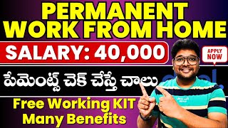 Permanent Work from Home jobs  5 Lakhs Package  Latest Jobs in Telugu 2024  deel  VtheTechee [upl. by Monsour436]